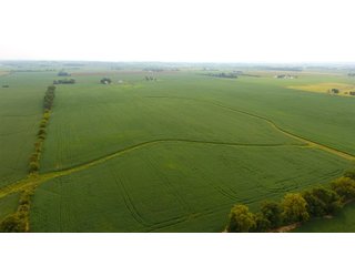 Property photo 7 - IMPORTANT OHIO LAND AUCTION - 325.5+/- ACRES OFFERED IN 8 TRACTS IN PICKAWAY COUNTY, OHIO